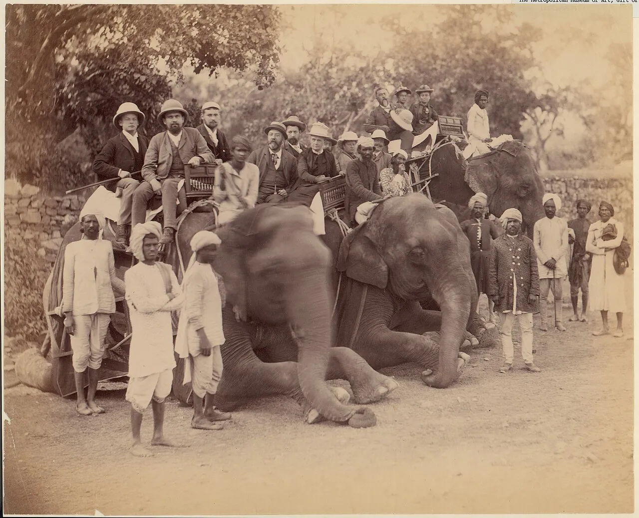 Elephant Group by Unknown