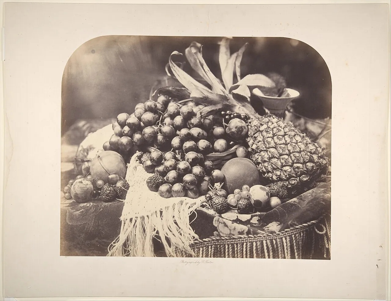 [Still Life with Fruit] by Roger Fenton