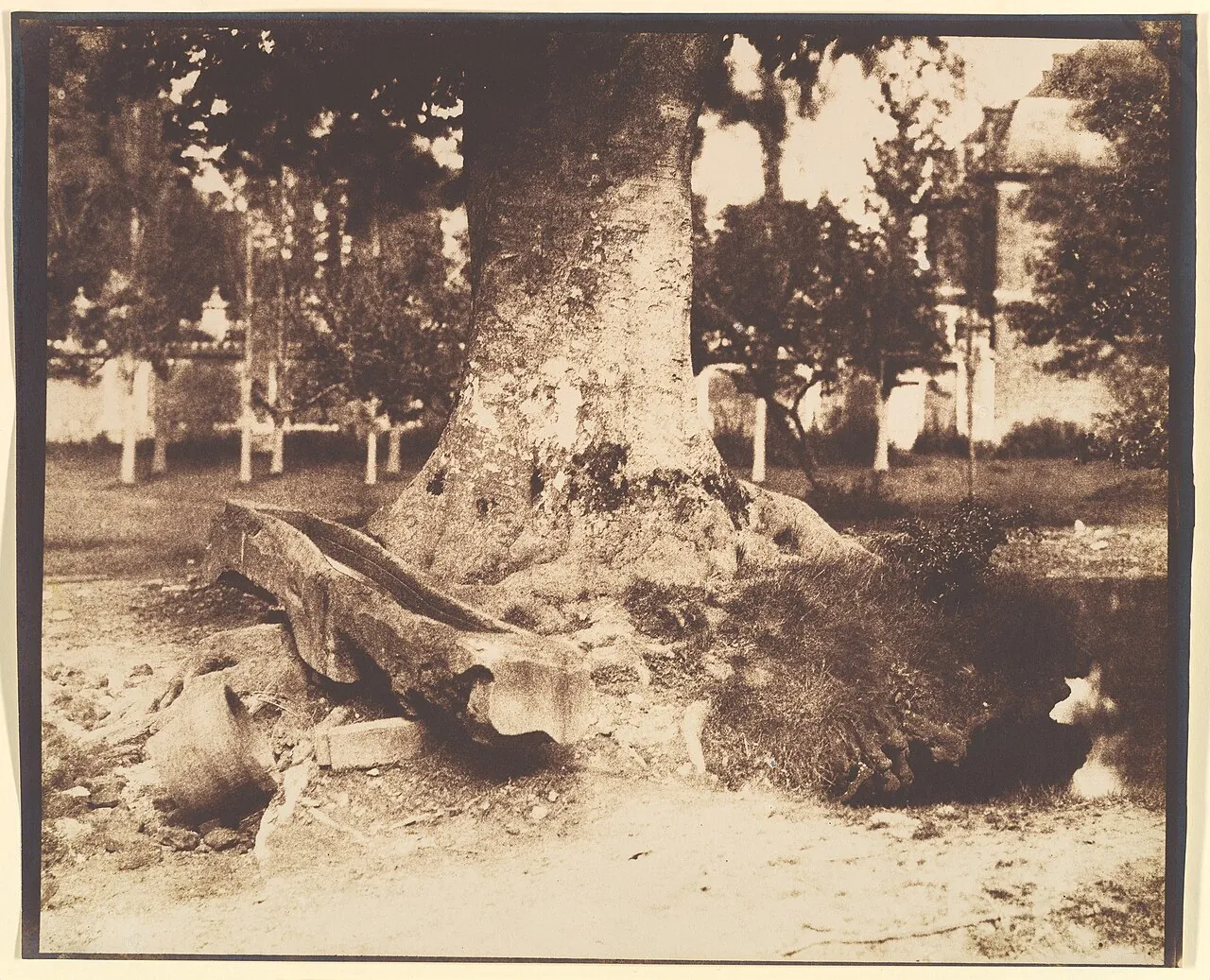 [The Large Tree at La Verrerie, Romesnil] by Louis-Rémy Robert