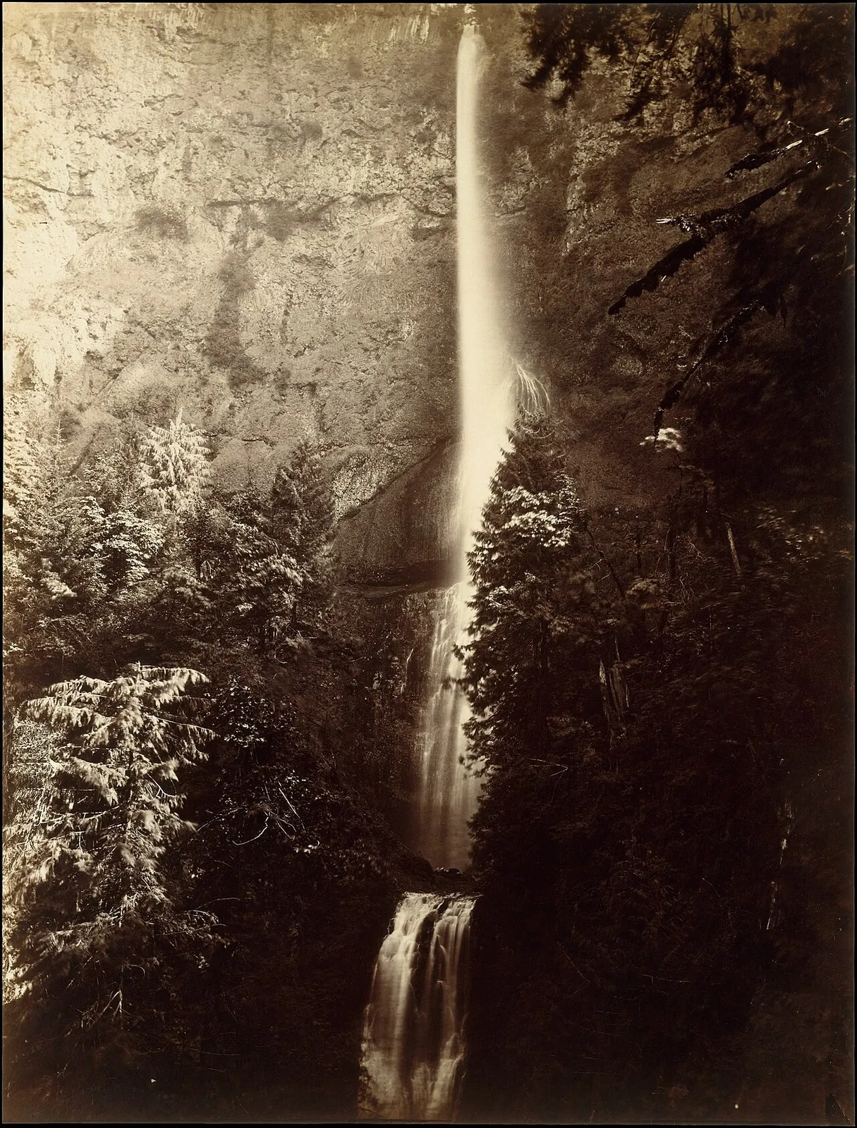 Multnomah Falls Cascade, Columbia River by Carleton E. Watkins