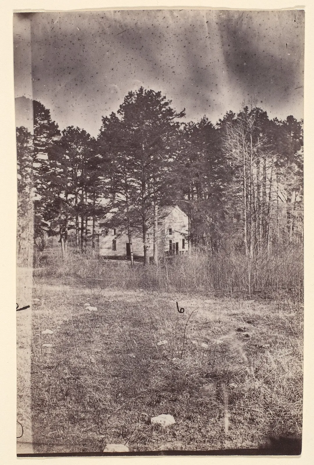 [The Wilderness Battlefield] by Unknown