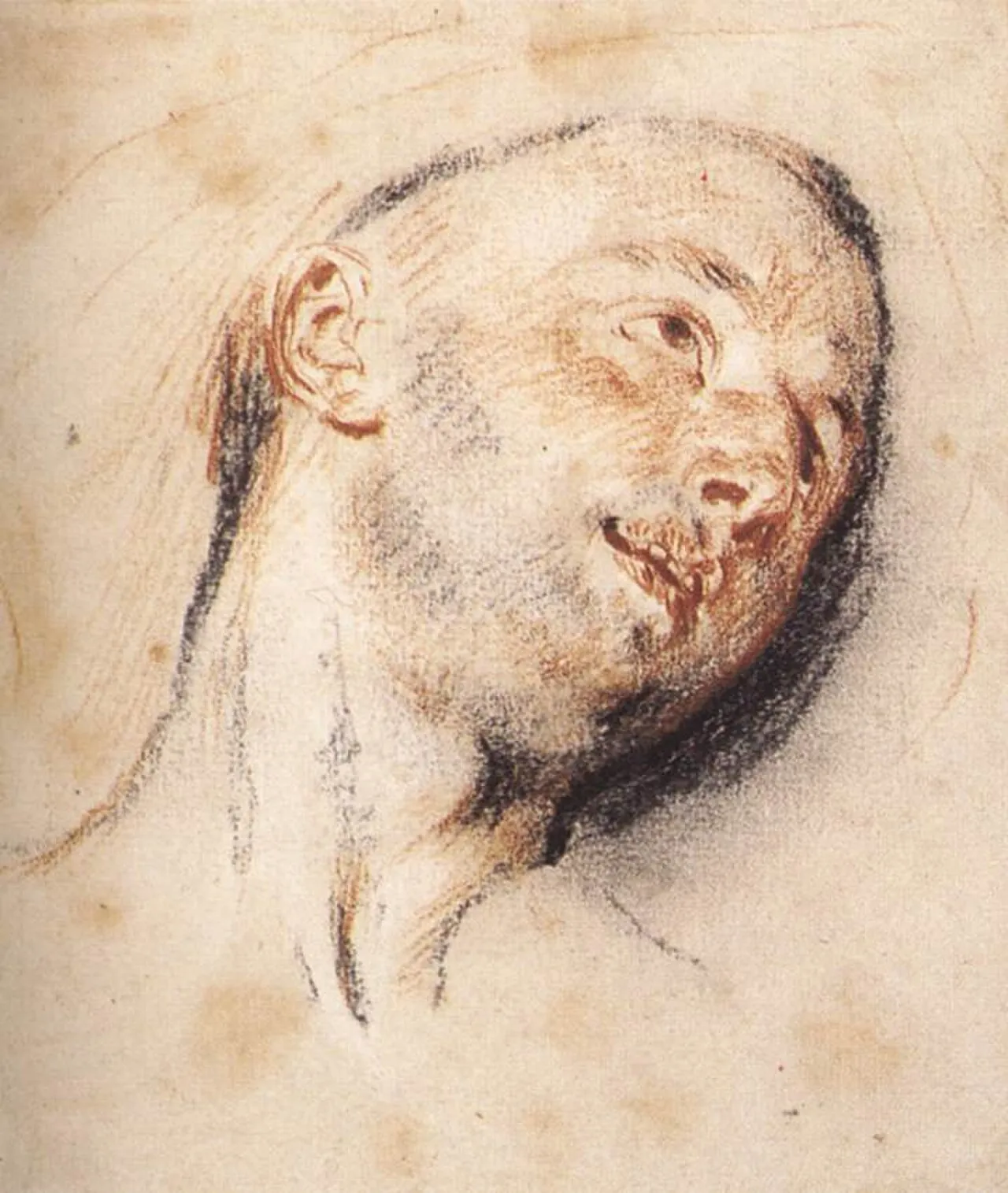 Head of a Man by Antoine Watteau