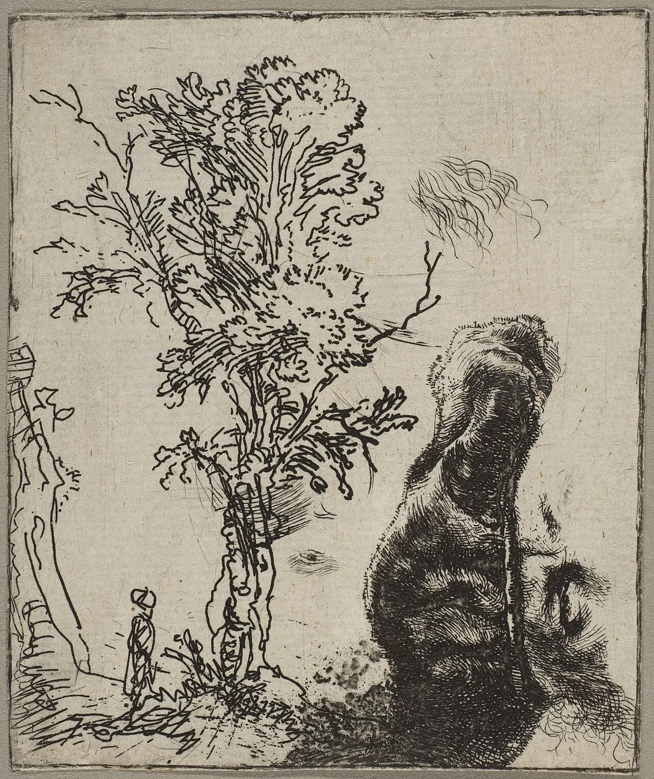 Sheet with Two Studies: A Tree and the Upper Part of a Head of Rembrandt Wearing a Velvet Cap by Rembrandt (Rembrandt van Rijn)