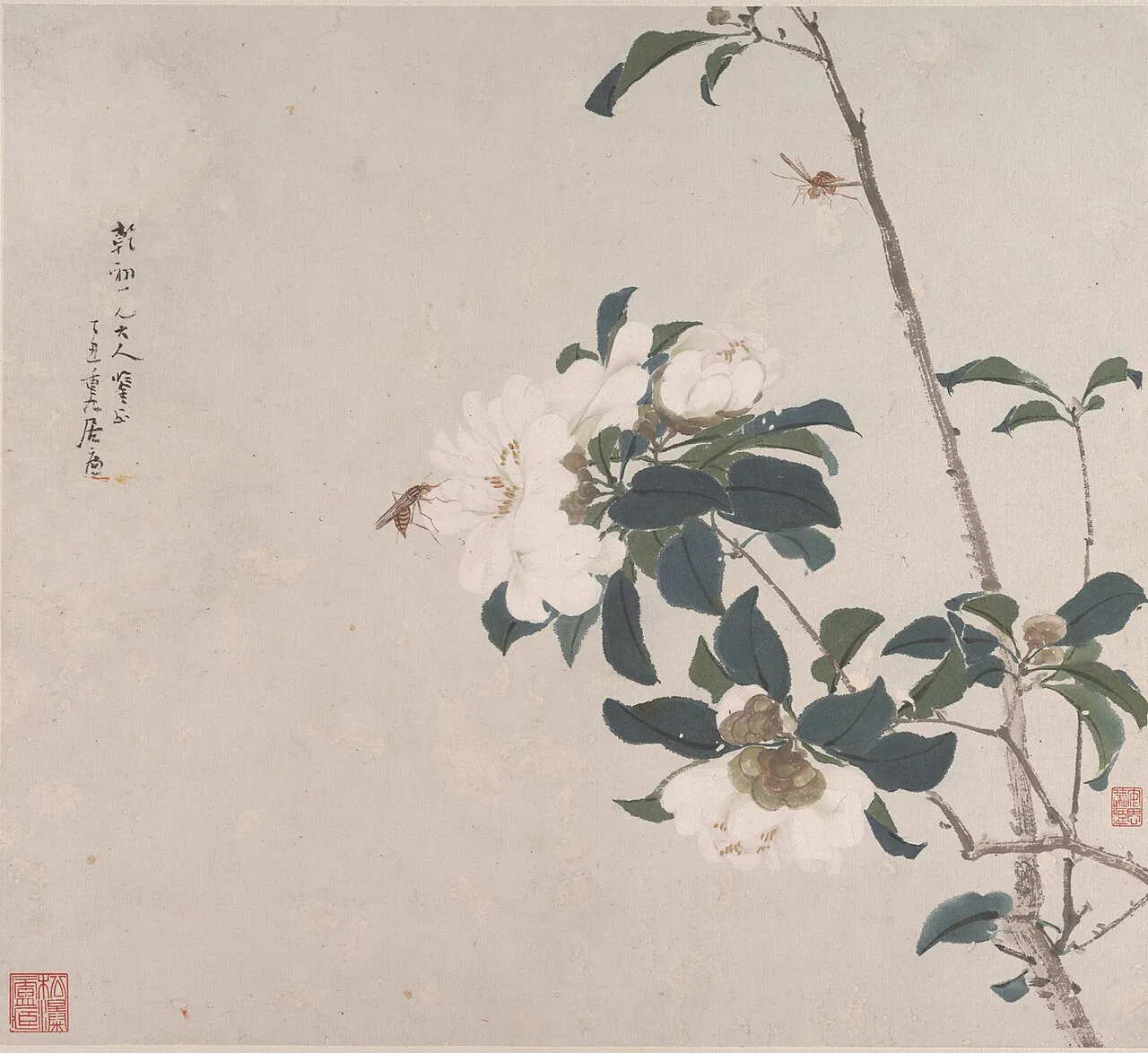 清 居廉 花卉蟲草 冊頁 八開|Insects and Flowers by Ju Lian
