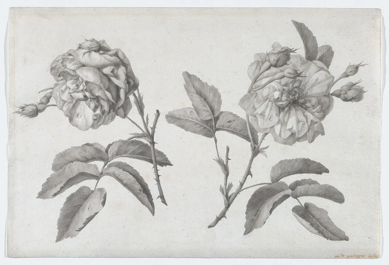 Two Roses by Anne Vallayer-Coster
