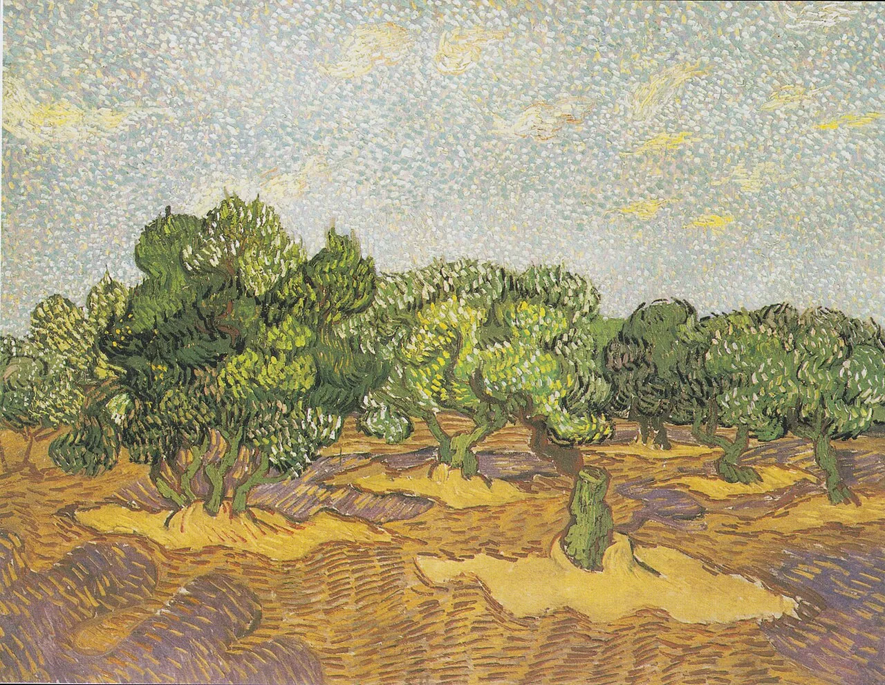 Olive Trees by Vincent van Gogh