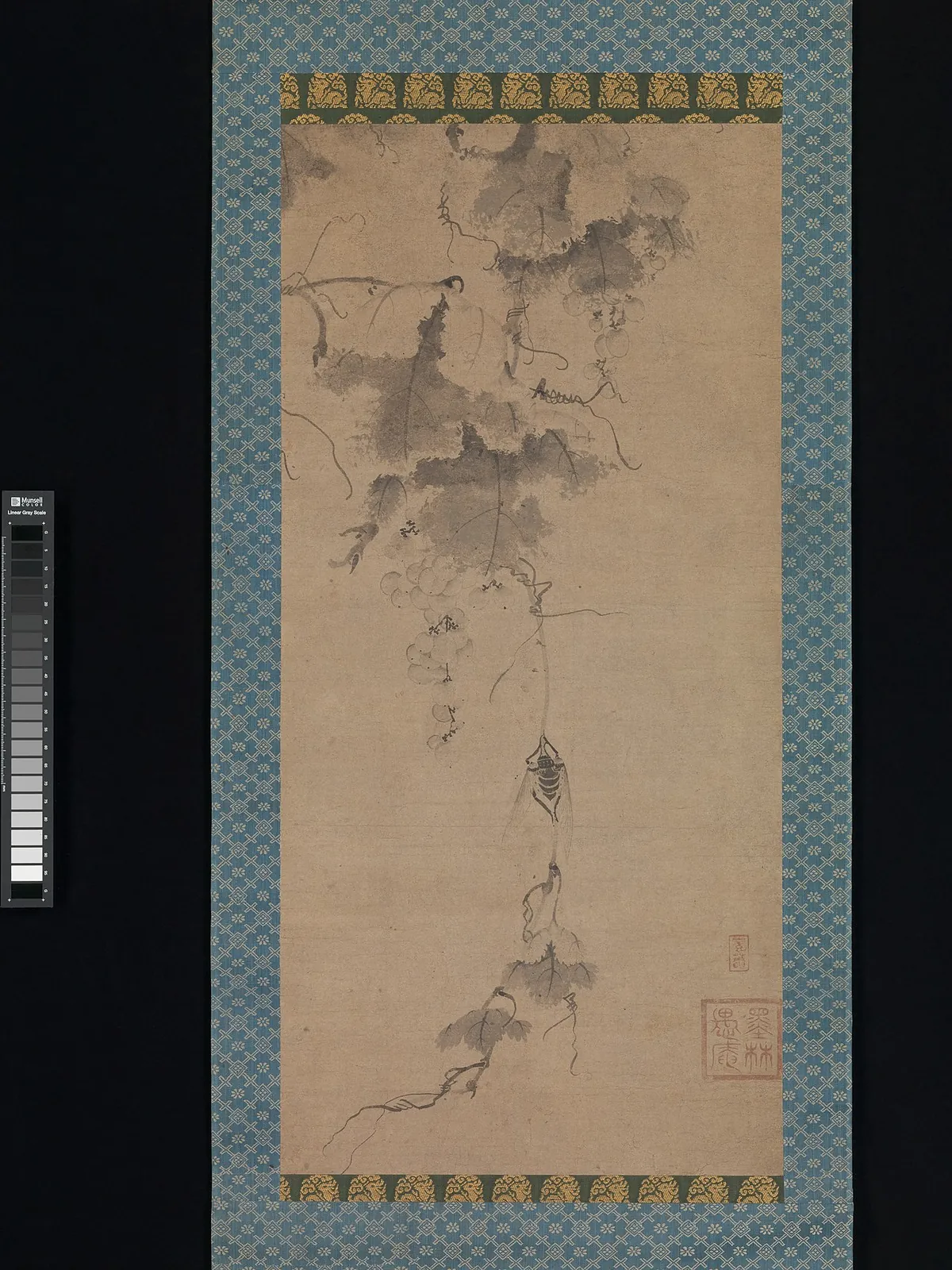 墨林愚庵筆 葡萄蝉図|Cicada on a Grapevine by Bokurin Guan
